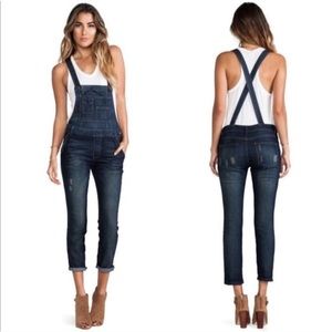Free People Skinny Overalls (24)